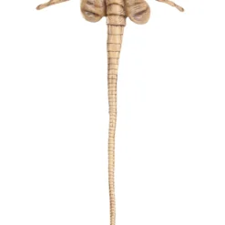 Partytime Latex Factory Alien Facehugger Costume Accessory 19 Partytime Latex Factory Alien Facehugger Costume Accessory -Elope Store alien facehugger accessory alt 8