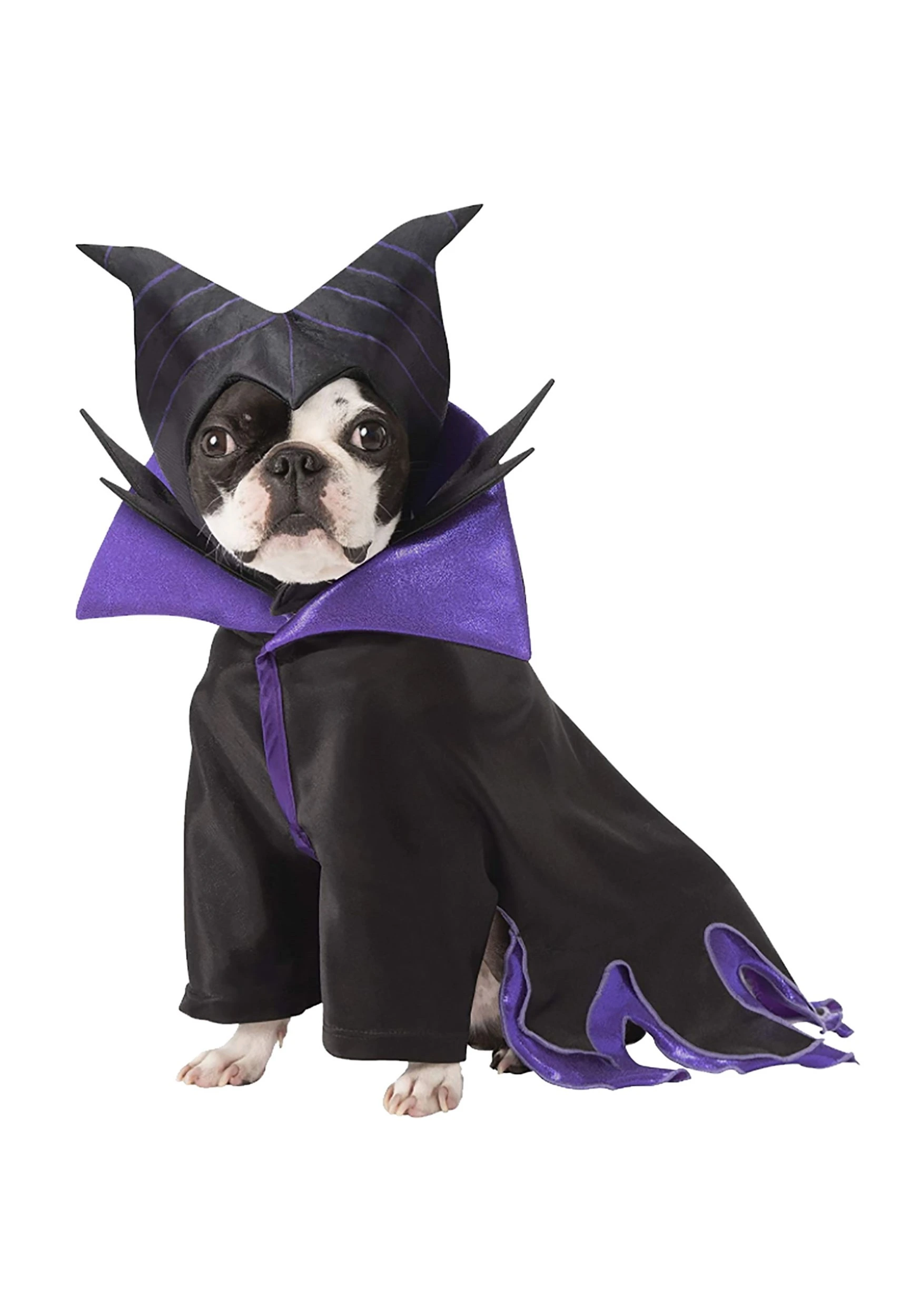 Rubies Costume Co. Inc Maleficent Dog Costume 3 Rubies Costume Co. Inc Maleficent Dog Costume