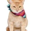 Pet Krewe Bandana And Sombrero Pet Costume Set