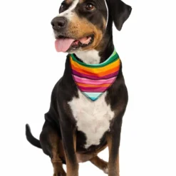Pet Krewe Bandana And Sombrero Pet Costume Set 10 Pet Krewe Bandana And Sombrero Pet Costume Set -Elope Store sombrero bandana pet costume set alt 2