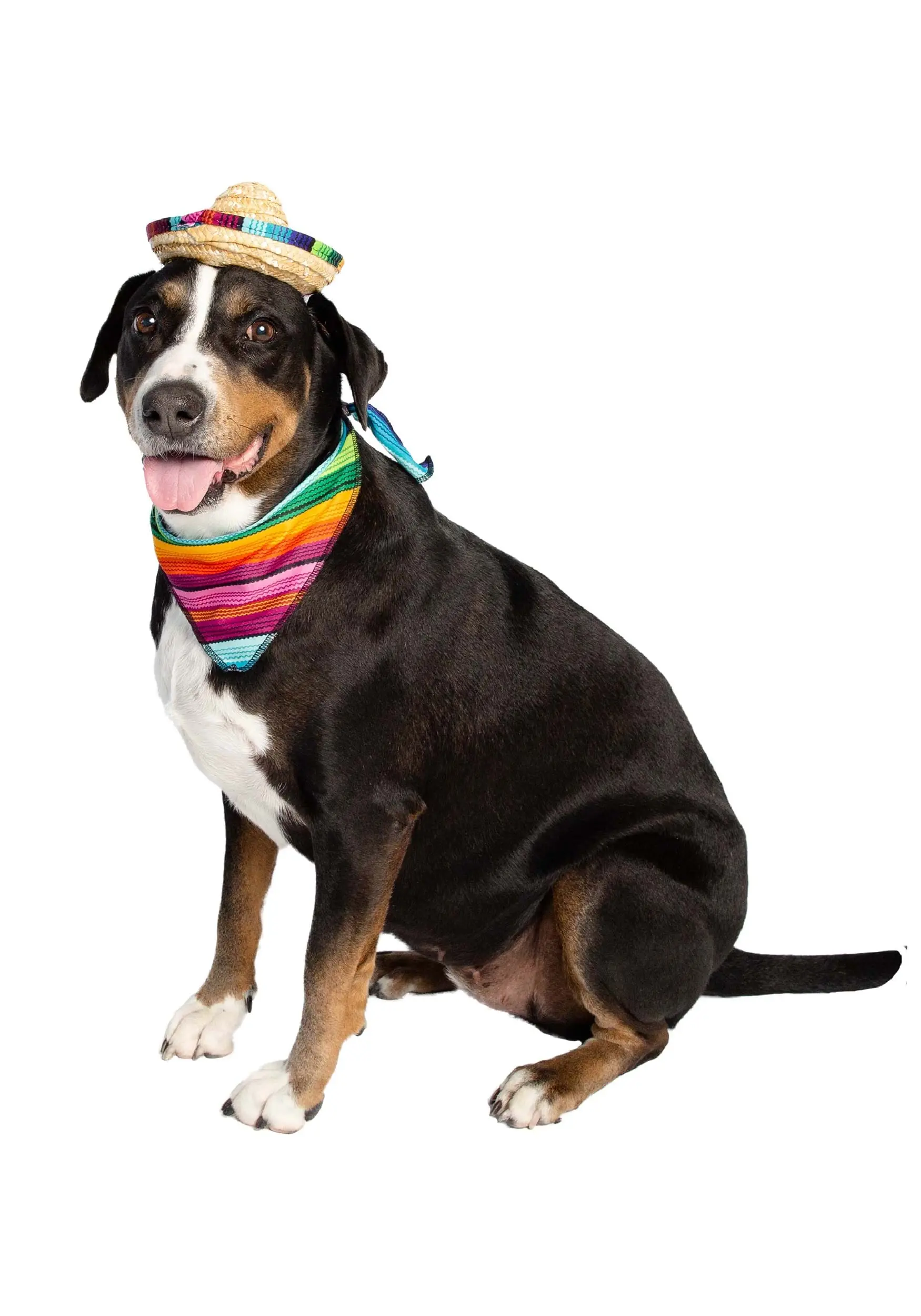 Pet Krewe Bandana And Sombrero Pet Costume Set 8 Pet Krewe Bandana And Sombrero Pet Costume Set - Image 6
