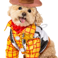 Rubies Costume Co. Inc Toy Story Woody Costume For Dog