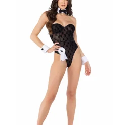 Roma Women's Sheer Playboy Bunny Costume